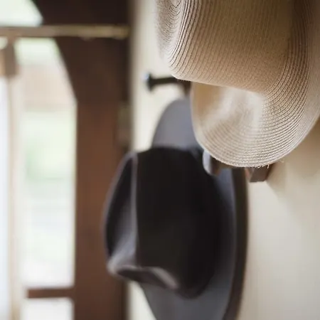 Le Buche Di Viesca Agroturismo *